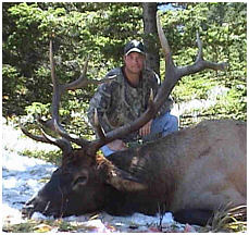 Elk Hunting - Alberta